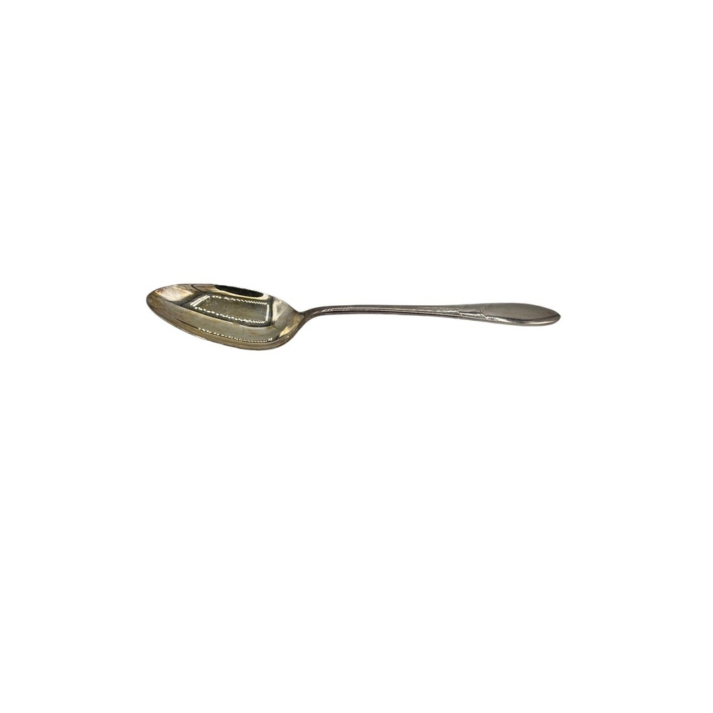 Oneida‎ Community LADY HAMILTON Silverplate Serving Spoon 8 5/8" Flatware